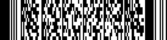PDF417'nin barcode example